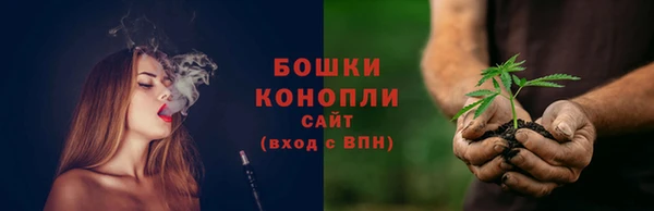стаф Белокуриха