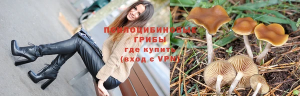 стаф Белокуриха